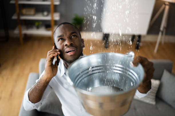 Best 24-hour water damage restoration  in Lincroft, NJ