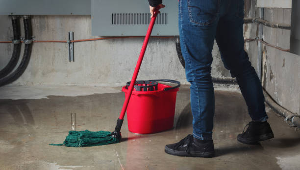 Best Water damage restoration process  in Lincroft, NJ
