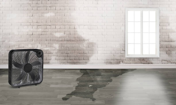 Best Flood restoration services  in Lincroft, NJ