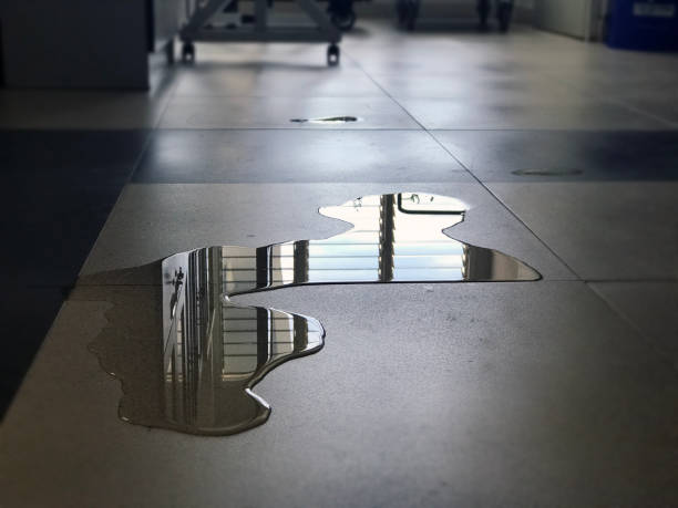 Best Water damage contractors near me  in Lincroft, NJ