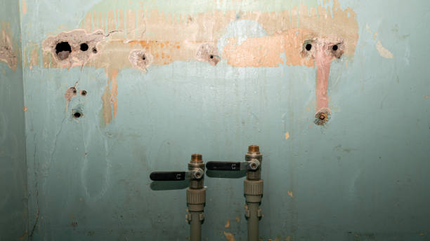 Best Local water damage restoration  in Lincroft, NJ