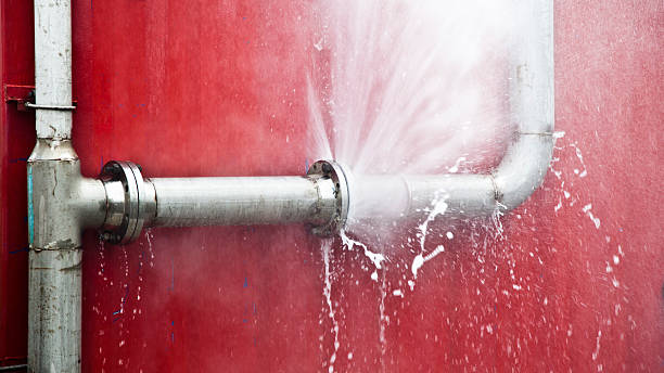 Best Basement water damage restoration  in Lincroft, NJ