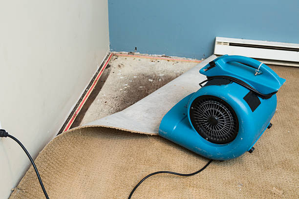 Best Water damage restoration near me  in Lincroft, NJ
